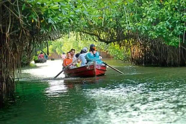 Pichavaram Mangrove Forest